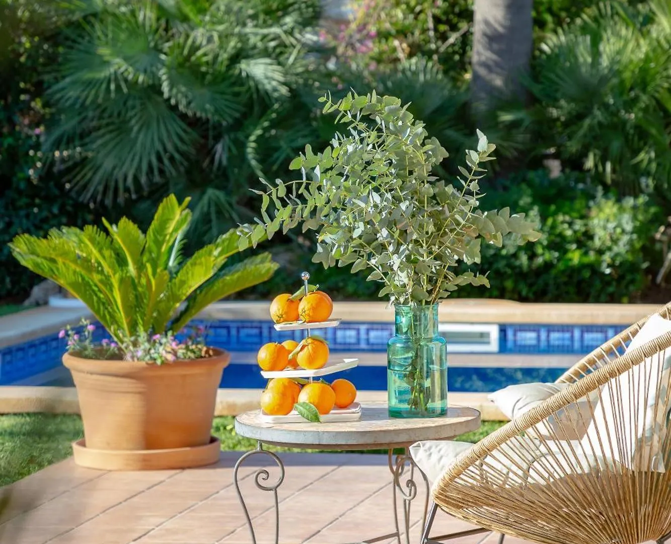Villa Palmera Palma