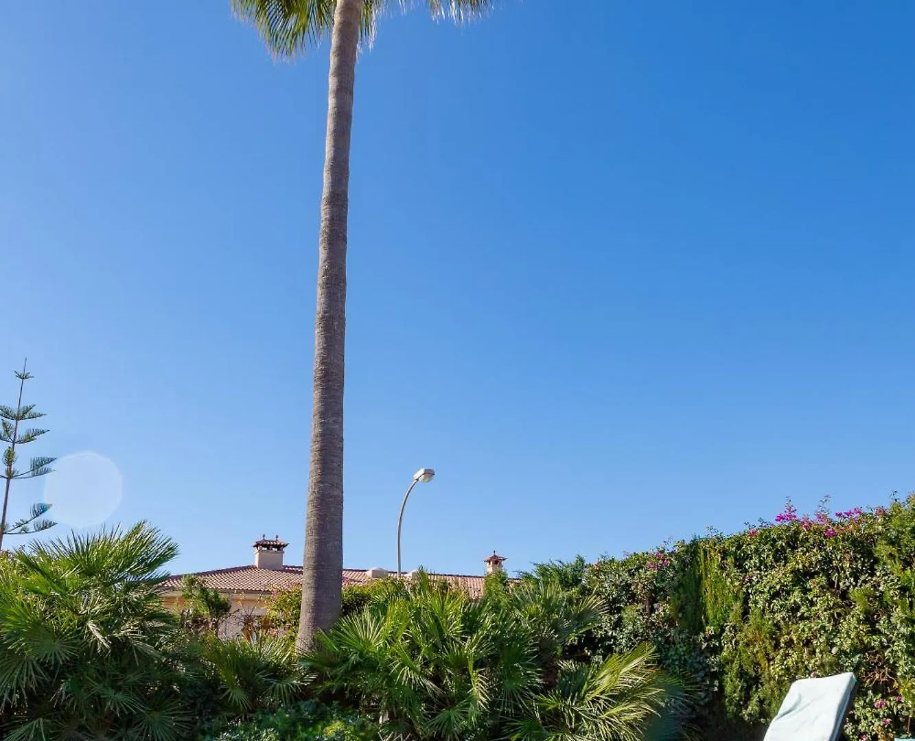 Villa Palmera Palma