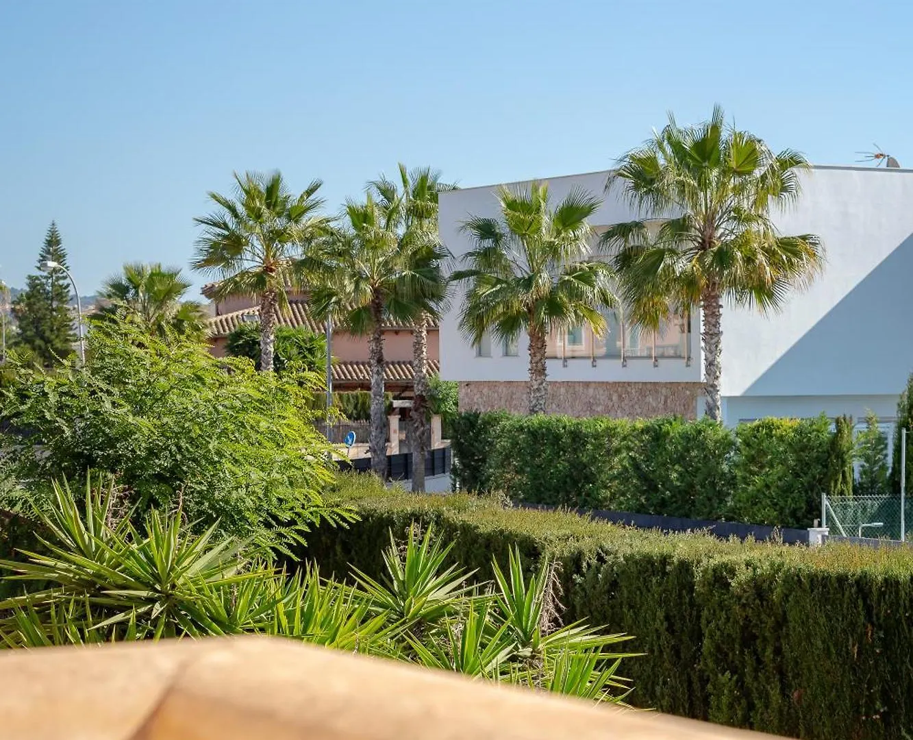 Villa Palmera Palma