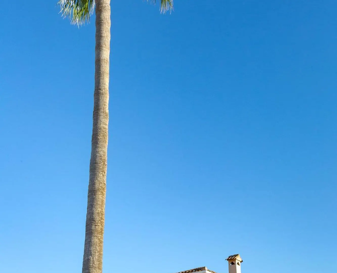 Villa Palmera Palma