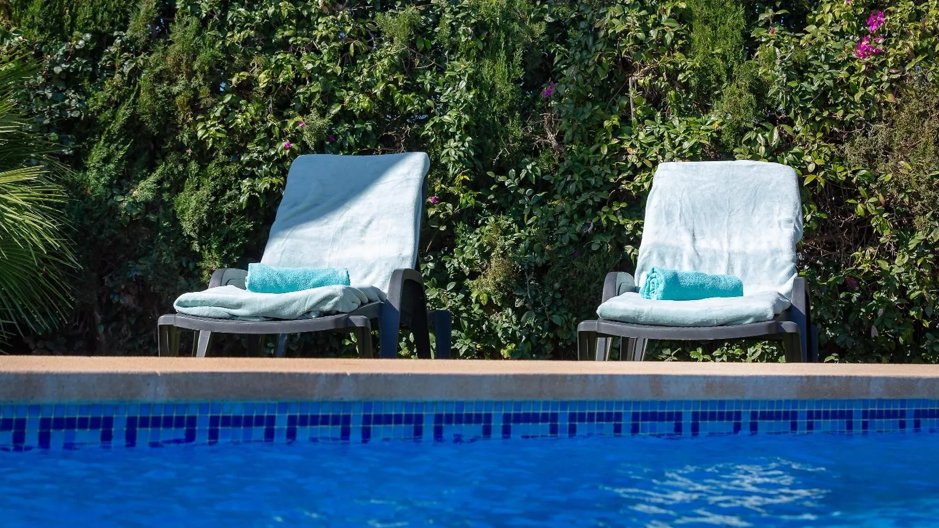 Villa Palmera Palma